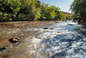 A close-up of the rushing waters of the Virgin River at the Sheep Bridge Preserve.