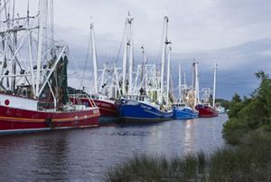 Colorful boats line up along a waterway.