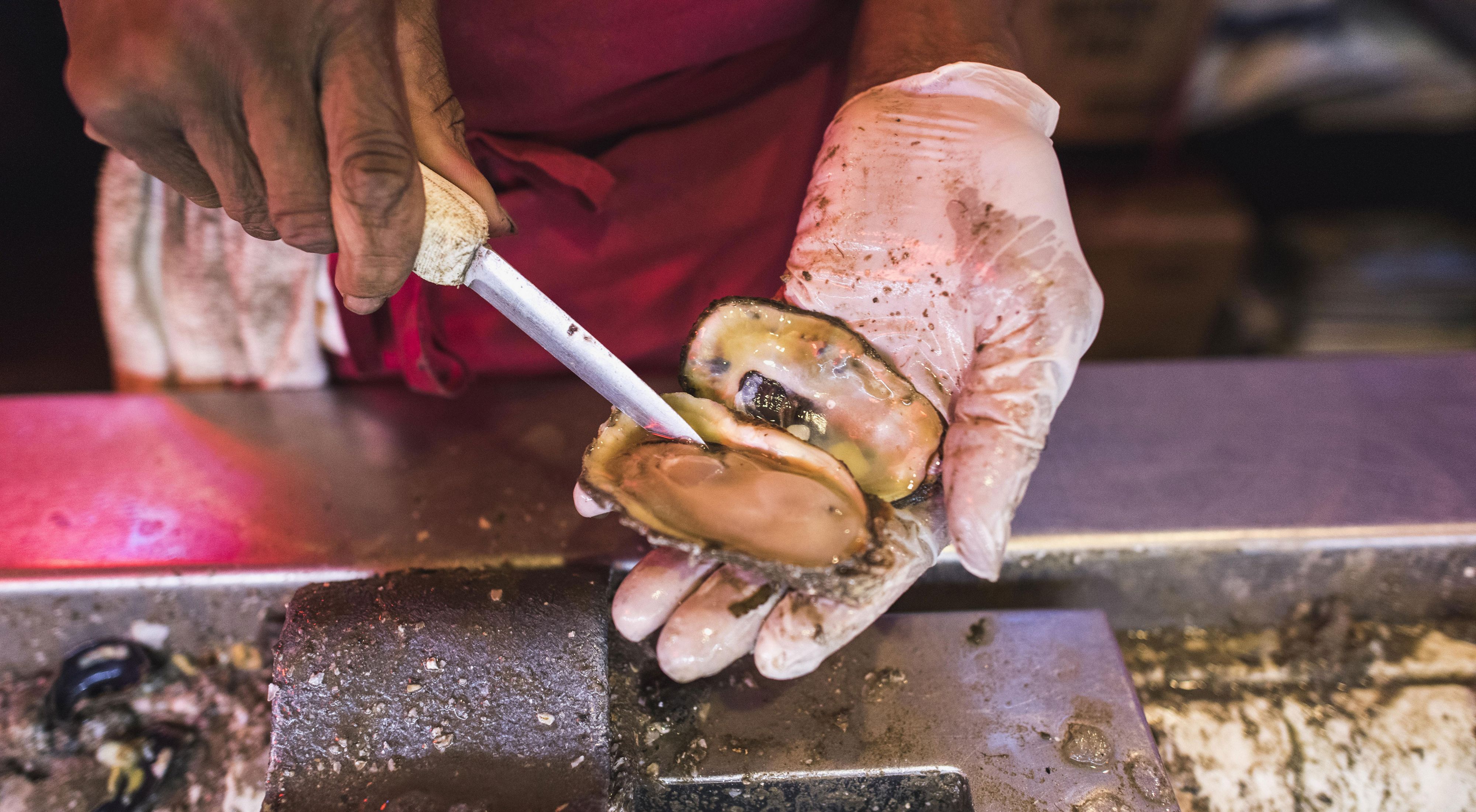 Closeup of two hands, one in a latex glove holding a shucked oyster and the other holding a shucking knife.