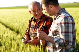 Two men standing in a field of wheat.