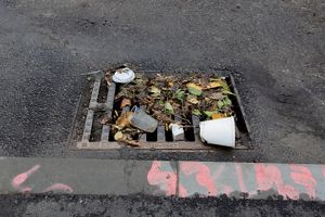Trash and wet debris covering a catch basin.