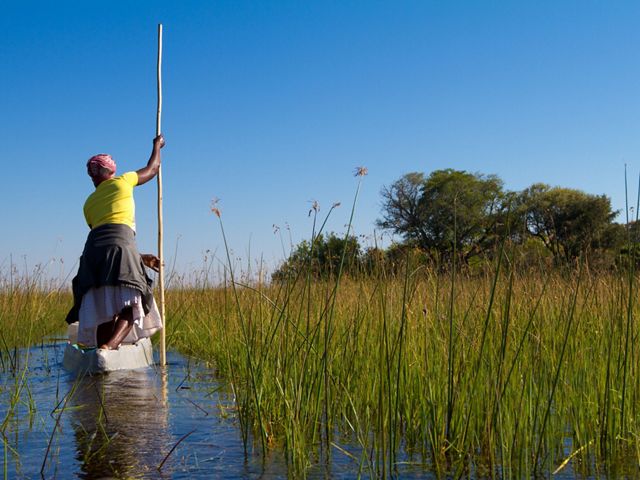 A mokoro boat in the Okavango Delta, Botswana