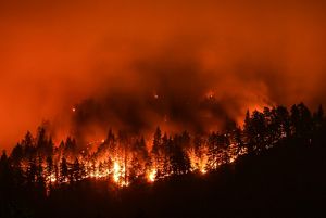 California’s wildfire future