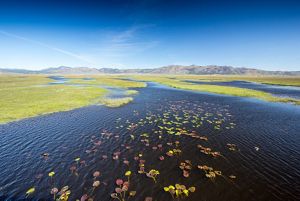 Freshwater wetlands with mountains in the background.