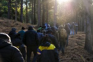 grupo de personas de espaldas caminando en fila en medio del bosque.