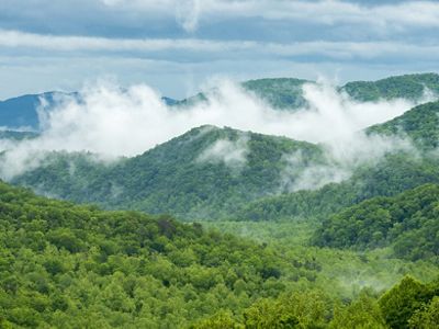 Smoky Mountain forests 200x125