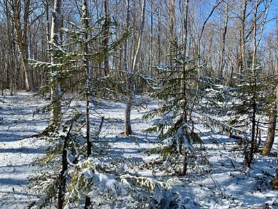 The Tug Hill team worked against a backdrop ranging from wind and snow to 90-degree days.