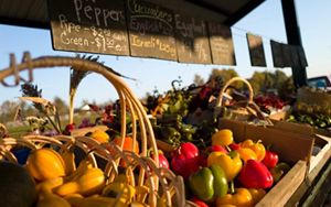 Display of fresh produce
