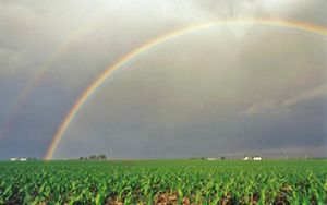 A double rainbow arching over a farm field against a cloudy sky. 