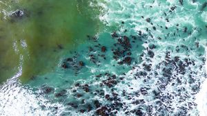 Aerial view of the South Africa coast.