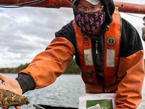 A man in orange waders holding a clump of oysters.