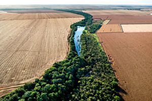 Imagem aérea de plantação de Área de Preservação Permanente em uma propriedade rural de plantação de soja.