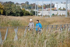 Two people walk on a boardwalk through tall green and brown grasses.