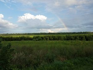 Rainbow over TNC's Spunky Bottoms preserve. 