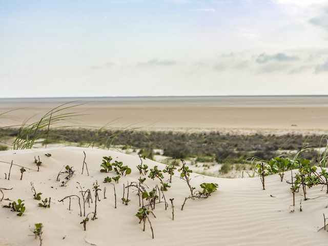 White sand dunes with plants growing on them and the ocean in the distance.