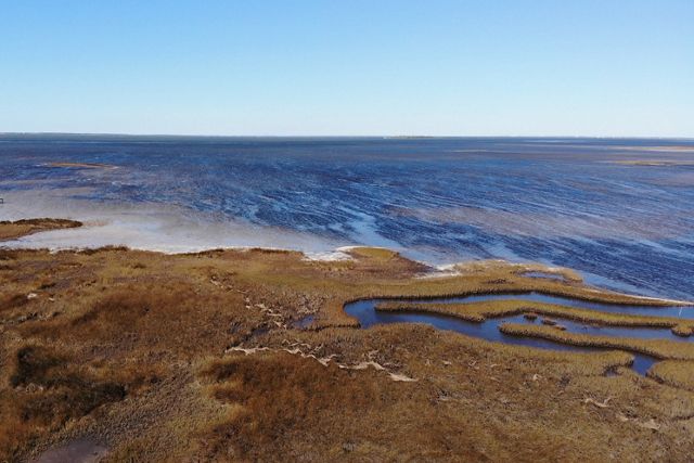 Grassy shores leading to the bay.