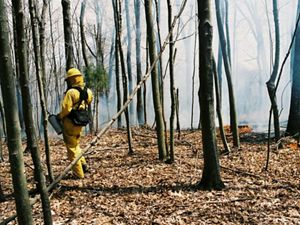 Prescribed fire at our Strait Creek Preserve at the Edge of Appalachia