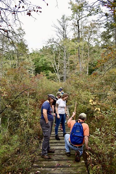 A group of people stand on a wooden boardwalk through a forested area.