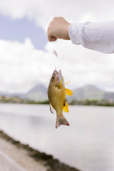 A fish on a fishing line.
