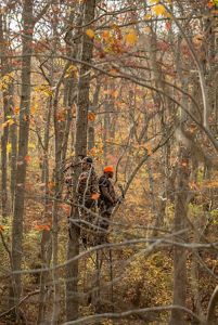 Two men wearing camouflage stand on a platform in the woods surrounded by autumn color. They hold crossbows.