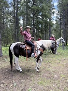 A woman sitting on a horse. 