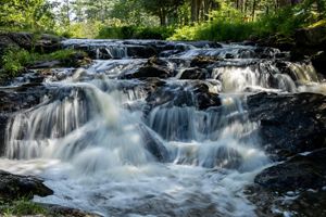 Water cascades over rocks in a stream in a forest.