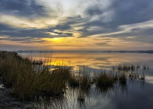 Sunrise over a tidal marsh. The orange sun is obscured behind a low cover of clouds. The light is reflected on the wide calm surface of the water. Tall marsh grass dominates the foreground.