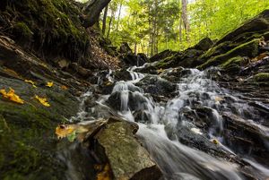 A waterfall cascading over bedrock surrounded by mossy rocks and trees.