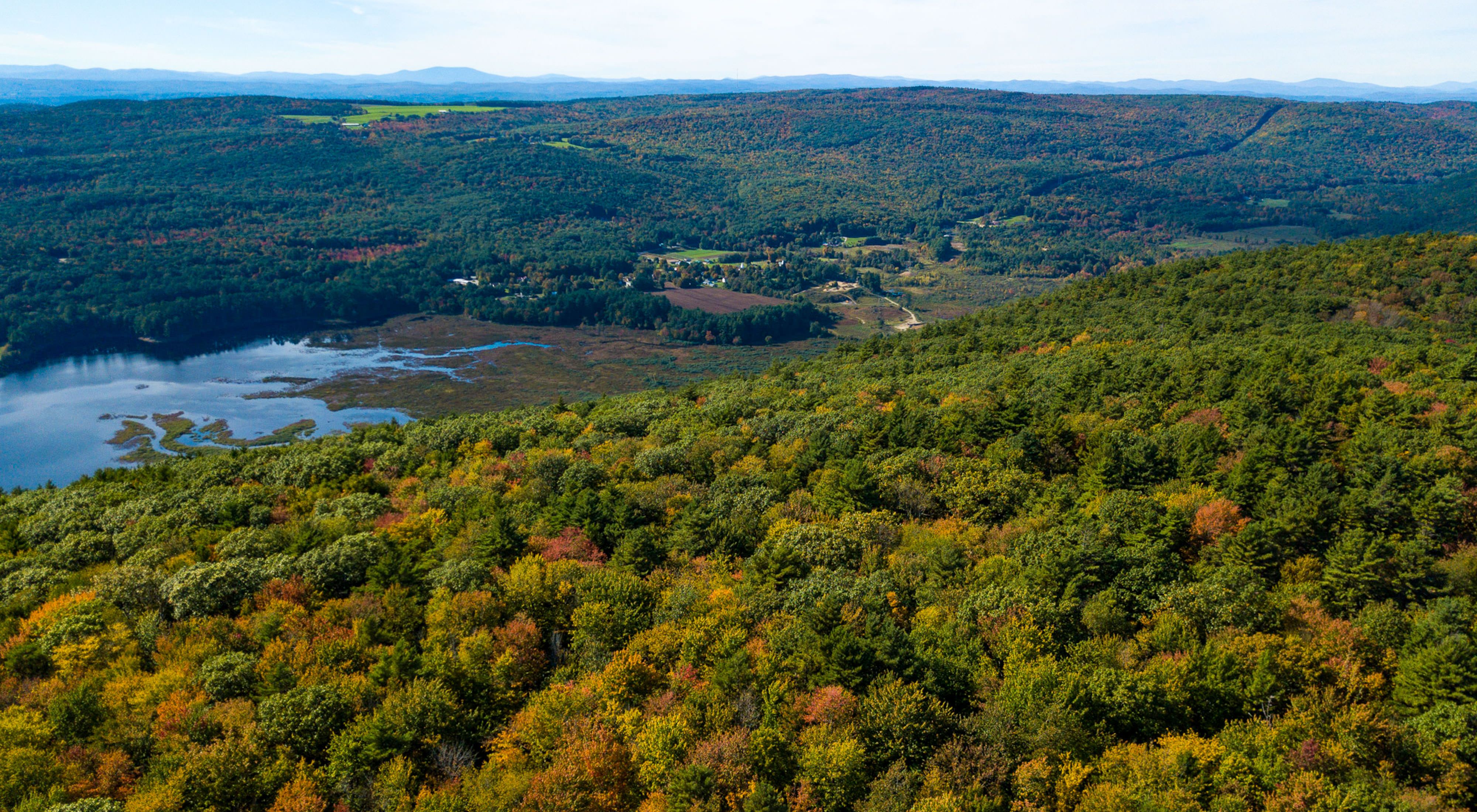 Aerial view of the preserve with wooded areas in the foreground and distance and streams and a pond on the middle left.