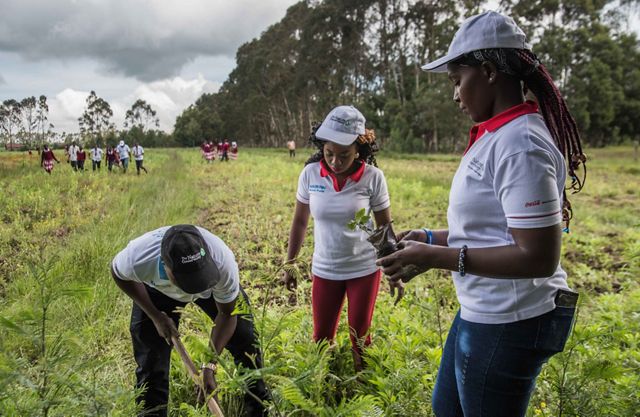 Photo of three people planting trees in Kenya.