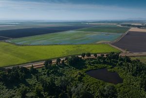 Sustainable Water Impact Fund (SWIF) water-smart agriculture - groundwater recharge area. 