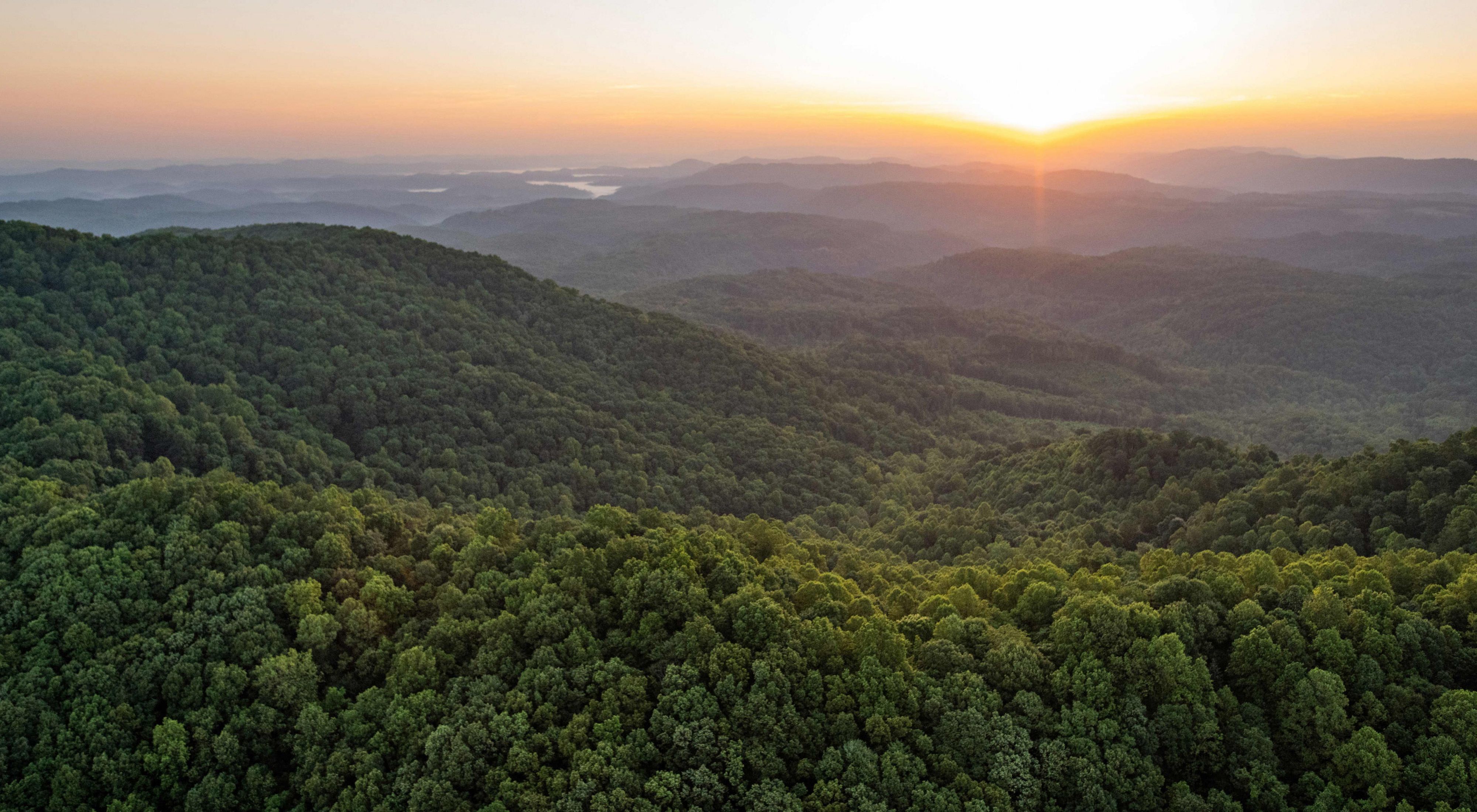 The sun rises over a forested mountain range. Rolling green ridges dominate the foreground and roll away to the horizon. White mist rises from the valleys in the distance.