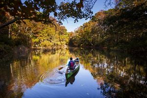 A canoeist paddles in a peaceful river. 
