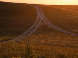 Sun sets on open prairie with two trails merging on a hilltop. 