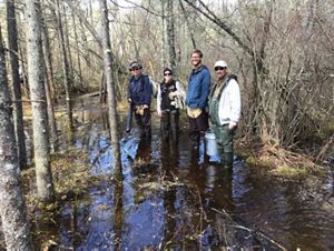 Four people stand in water above their ankles on a flooded boardwalk that runs through the forested bog of Tannersville Preserve.