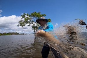 Pescador joga rede no Rio Tapajós