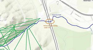 A map showing mountain lion movements plotted as multi-colored lines.