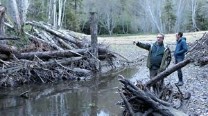Building Homes for Salmon