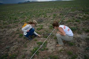 Two researchers kneel in the grass.