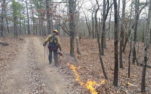 Man igniting a prescribed fire with a drip torch.