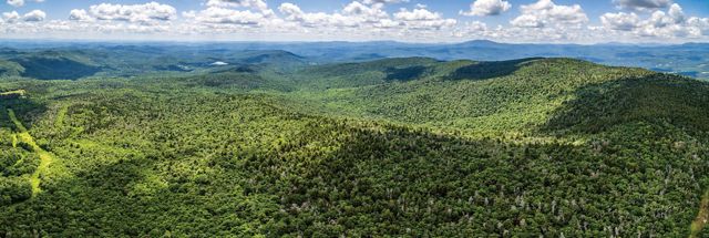 Photo of Vermont mountains in summer.