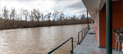 View from a barge looking across a muddy river toward a tree-lined bank.