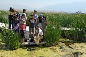 A group of kids learning at a lake with a teacher.