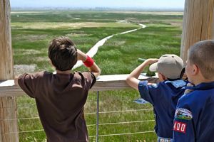 Three kids looking out onto a vast grass field.