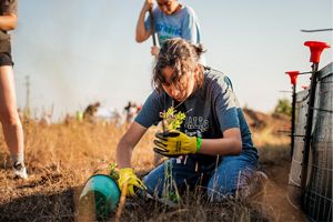 A woman uses a spade to dig a hole to plant a plant.