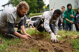 Two men crouch next to a small sapling they have just planted. A small group of volunteers look on from the background.