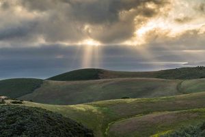 Rolling hills by the ocean at Dangermond Preserve in California.