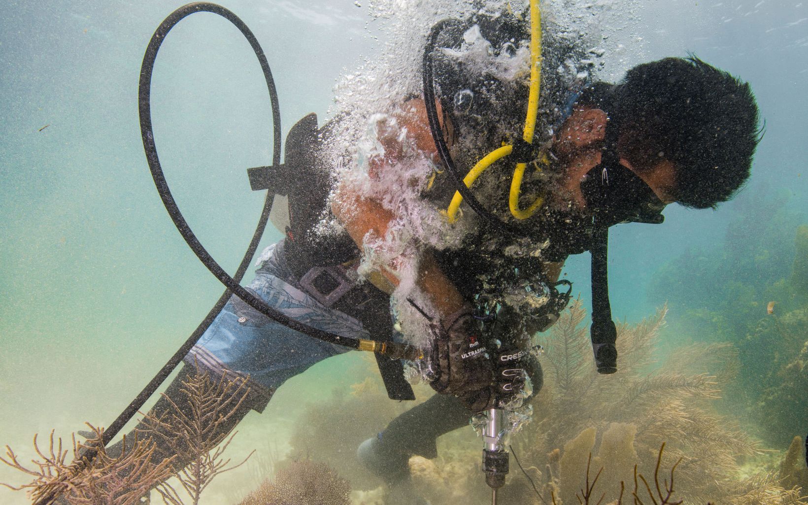 Underwater drill training A brigade member learns to use a drill underwater during the second day of coral reef rapid-response training for natural disasters. Following a hurricane, these brigade members would use drills to secure corals to the reef to prepare for repairing reefs following hurricanes. In the Mesoamerican Barrier Reef at Puerto Morelos National Marine Park. Puerto Morelos, Mexico. June 2018.   © Jennifer Adler