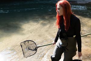 A scientist stands in a river in waders holding a long net for specimen collection.