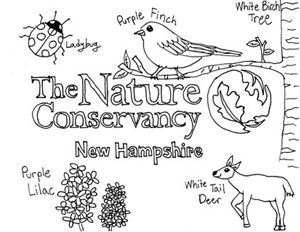 Hand-drawn image of The Nature Conservancy logo, a lady bug, purple finch, white-tailed deer, white birch tree and purple lilac.